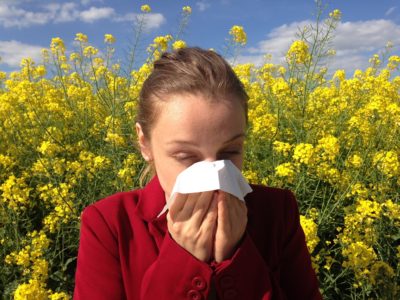 Allergie printanière